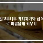 뱅갈고무나무 가지치기와 삽목으로 아름답게 키우기