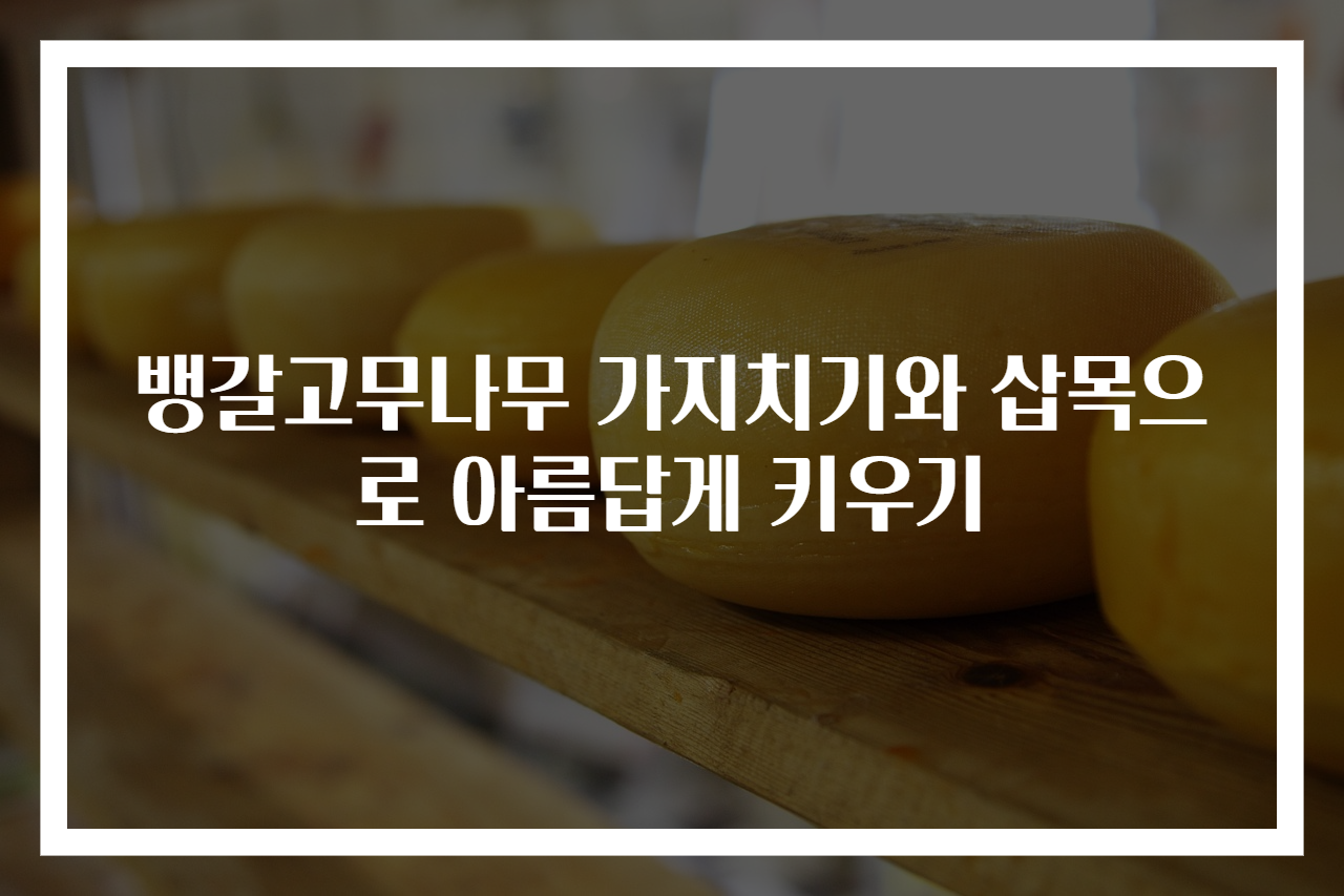 뱅갈고무나무 가지치기와 삽목으로 아름답게 키우기