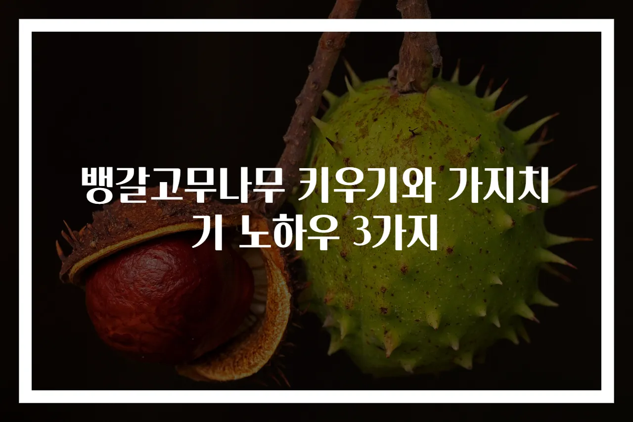 뱅갈고무나무 키우기와 가지치기 노하우 3가지