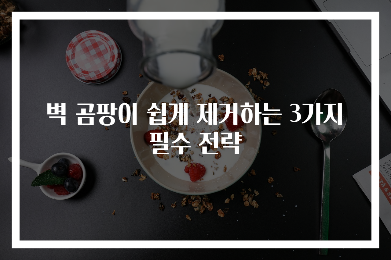 벽 곰팡이 쉽게 제거하는 3가지 필수 전략