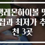 생레몬하이볼 맛집과 최저가 추천 3곳