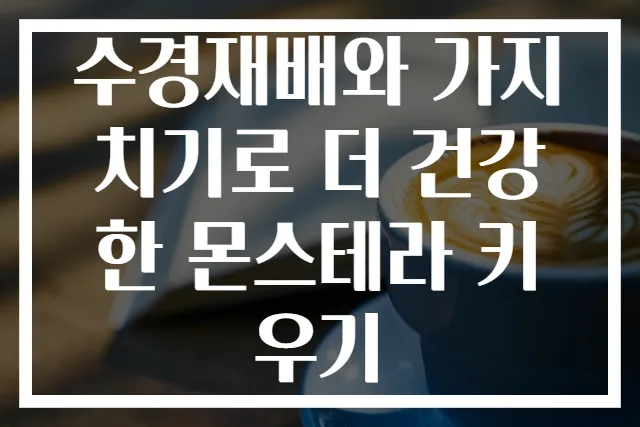수경재배와 가지치기로 더 건강한 몬스테라 키우기