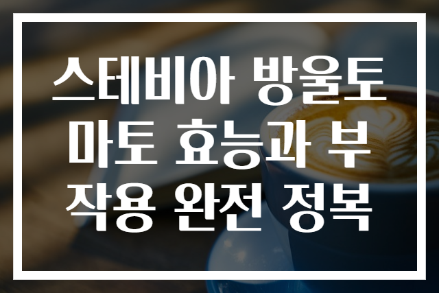 스테비아 방울토마토 효능과 부작용 완전 정복