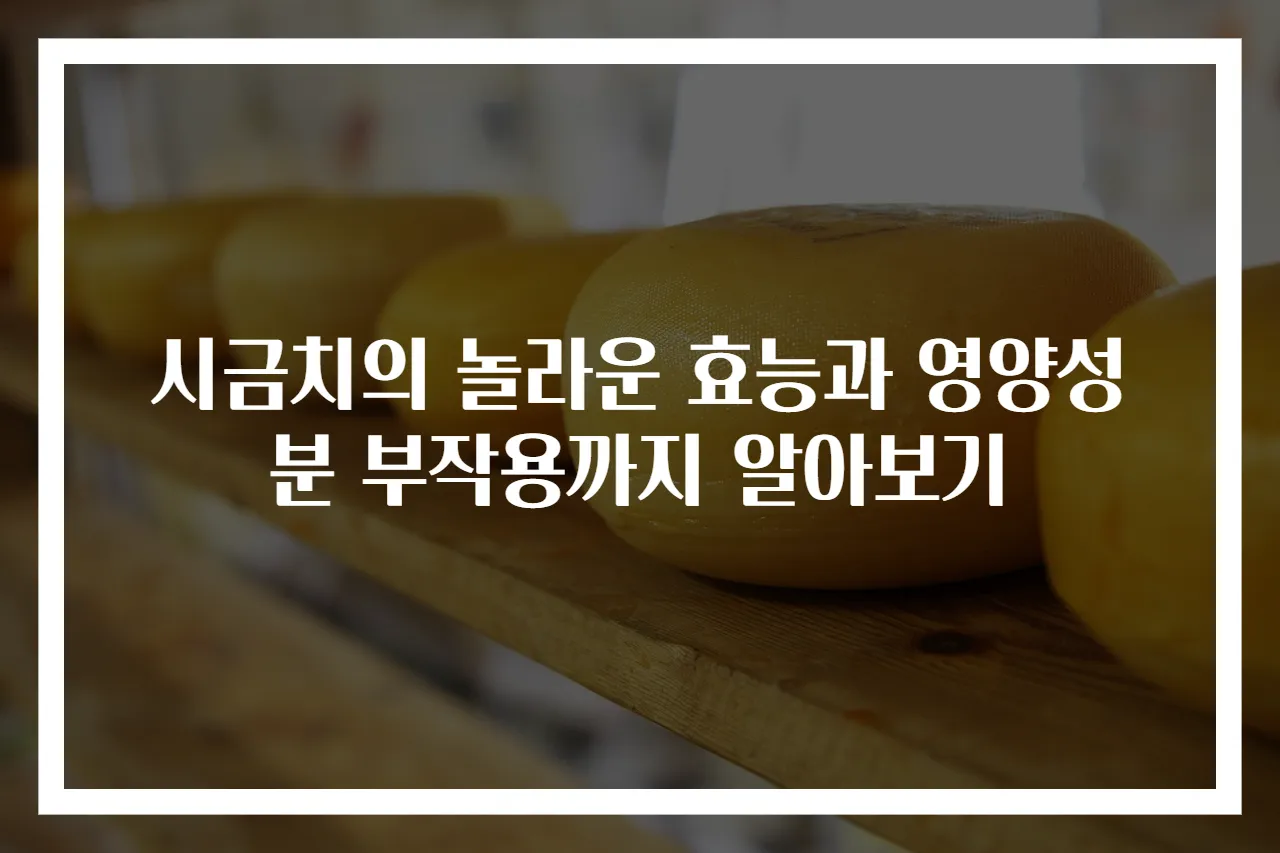 시금치의 놀라운 효능과 영양성분 부작용까지 알아보기