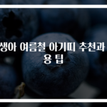 신생아 여름철 아기띠 추천과 사용 팁