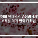 신생아 원더윅스 증상과 4개월 6개월 아기 변화 대처법