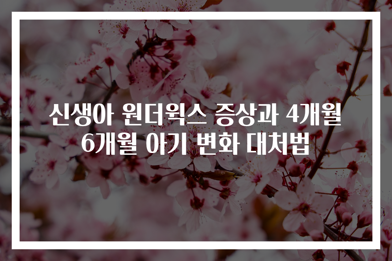 신생아 원더윅스 증상과 4개월 6개월 아기 변화 대처법