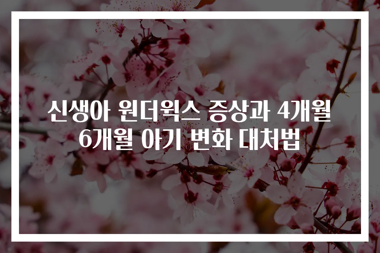 신생아 원더윅스 증상과 4개월 6개월 아기 변화 대처법