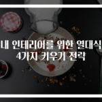 실내 인테리어를 위한 열대식물 4가지 키우기 전략