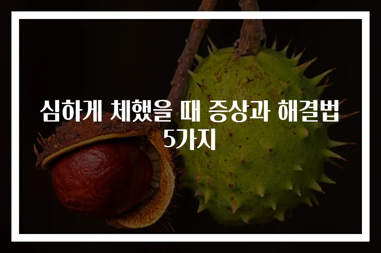 심하게 체했을 때 증상과 해결법 5가지