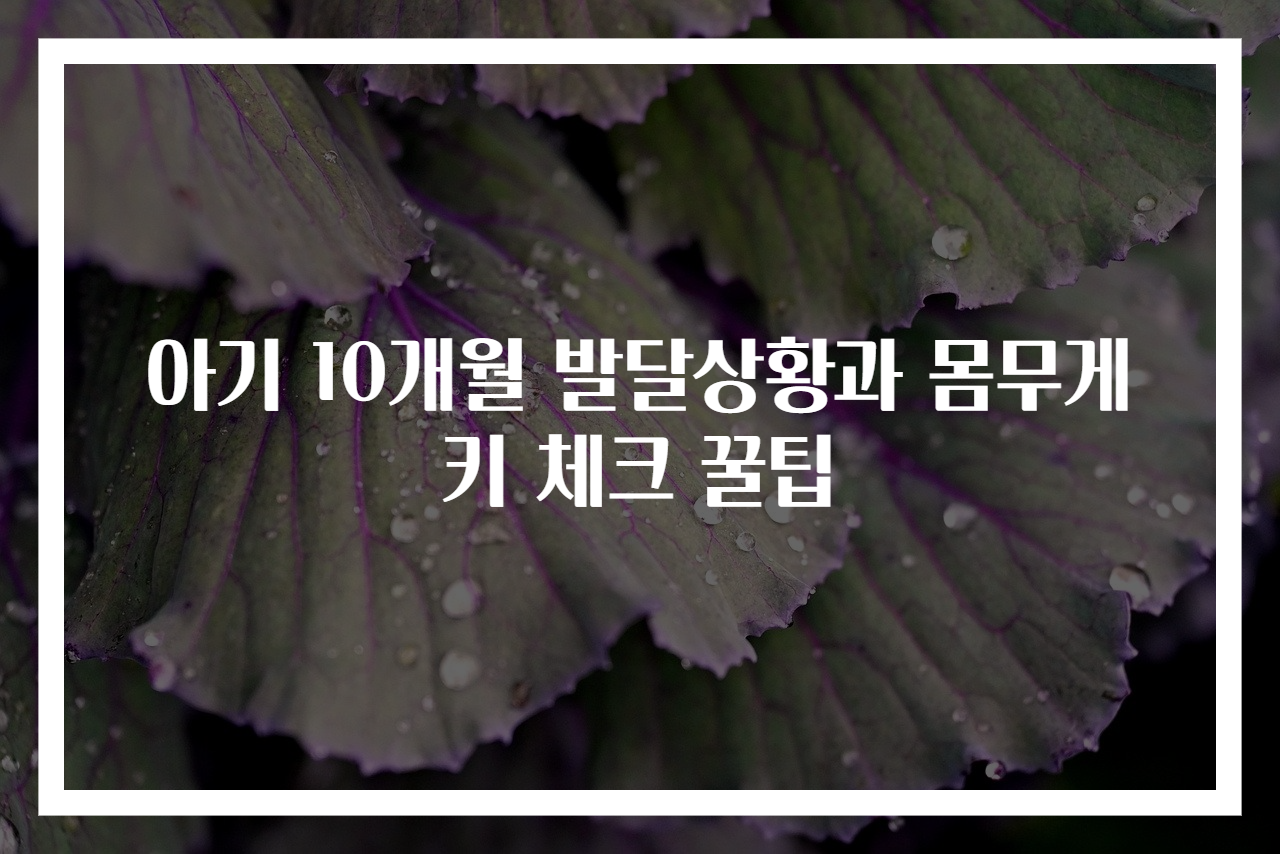 아기 10개월 발달상황과 몸무게 키 체크 꿀팁