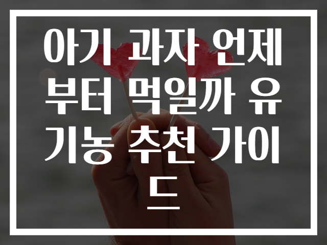 아기 과자 언제부터 먹일까 유기농 추천 가이드