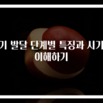 아기 발달 단계별 특징과 시기별 이해하기