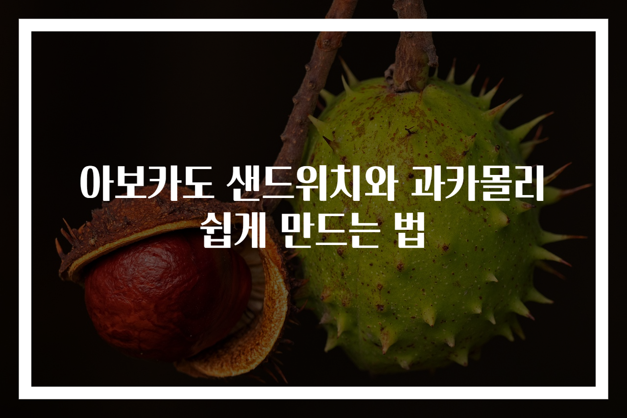 아보카도 샌드위치와 과카몰리 쉽게 만드는 법