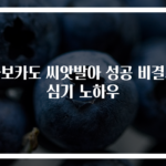 아보카도 씨앗발아 성공 비결과 심기 노하우
