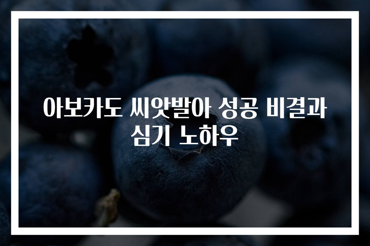 아보카도 씨앗발아 성공 비결과 심기 노하우