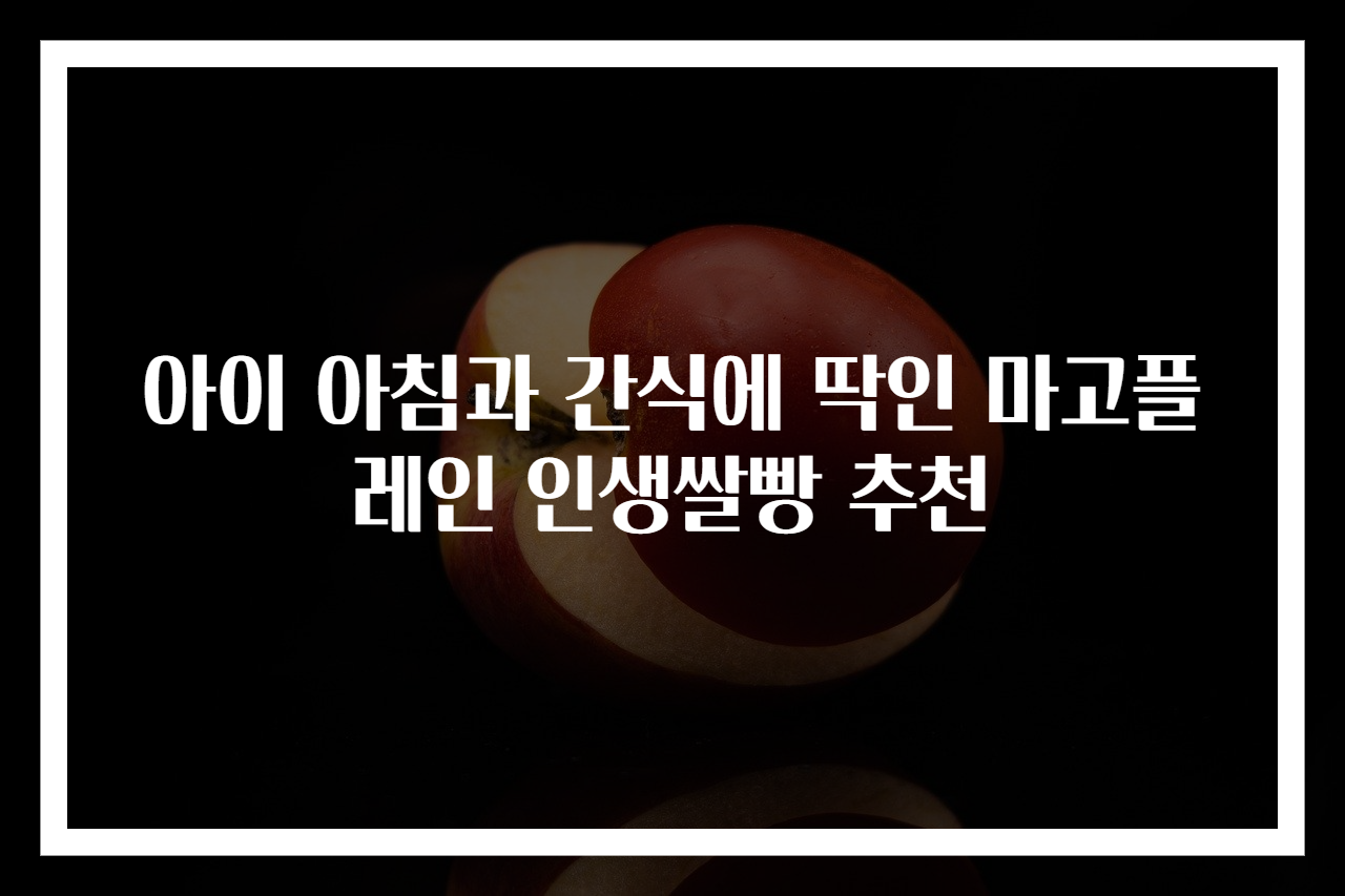 아이 아침과 간식에 딱인 마고플레인 인생쌀빵 추천