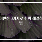아이반찬 3가지로 한끼 해결하는 법