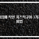 아침에 딱인 치즈떡구이 3가지 비법