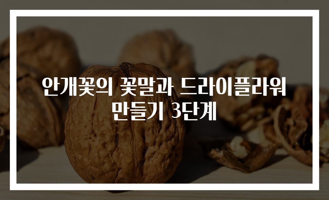 안개꽃의 꽃말과 드라이플라워 만들기 3단계