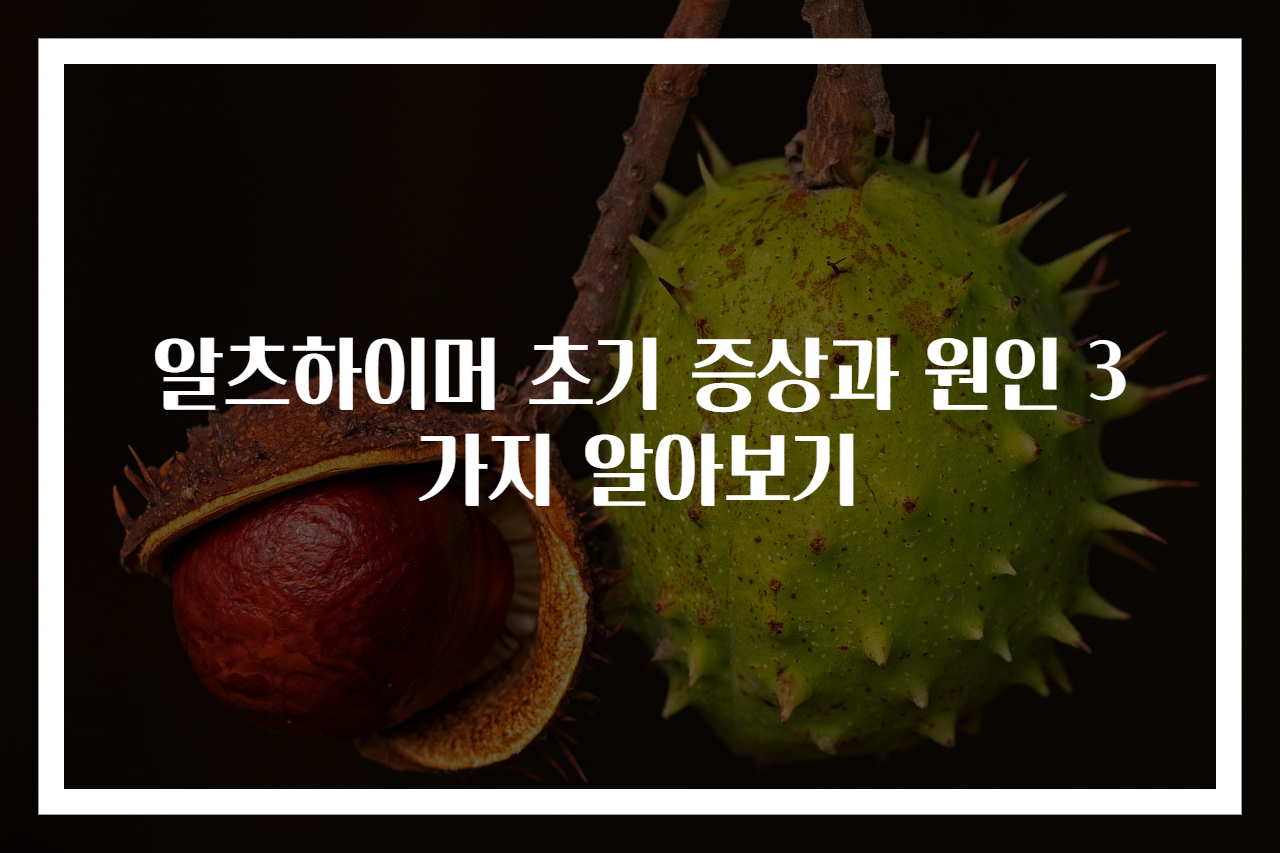 알츠하이머 초기 증상과 원인 3가지 알아보기