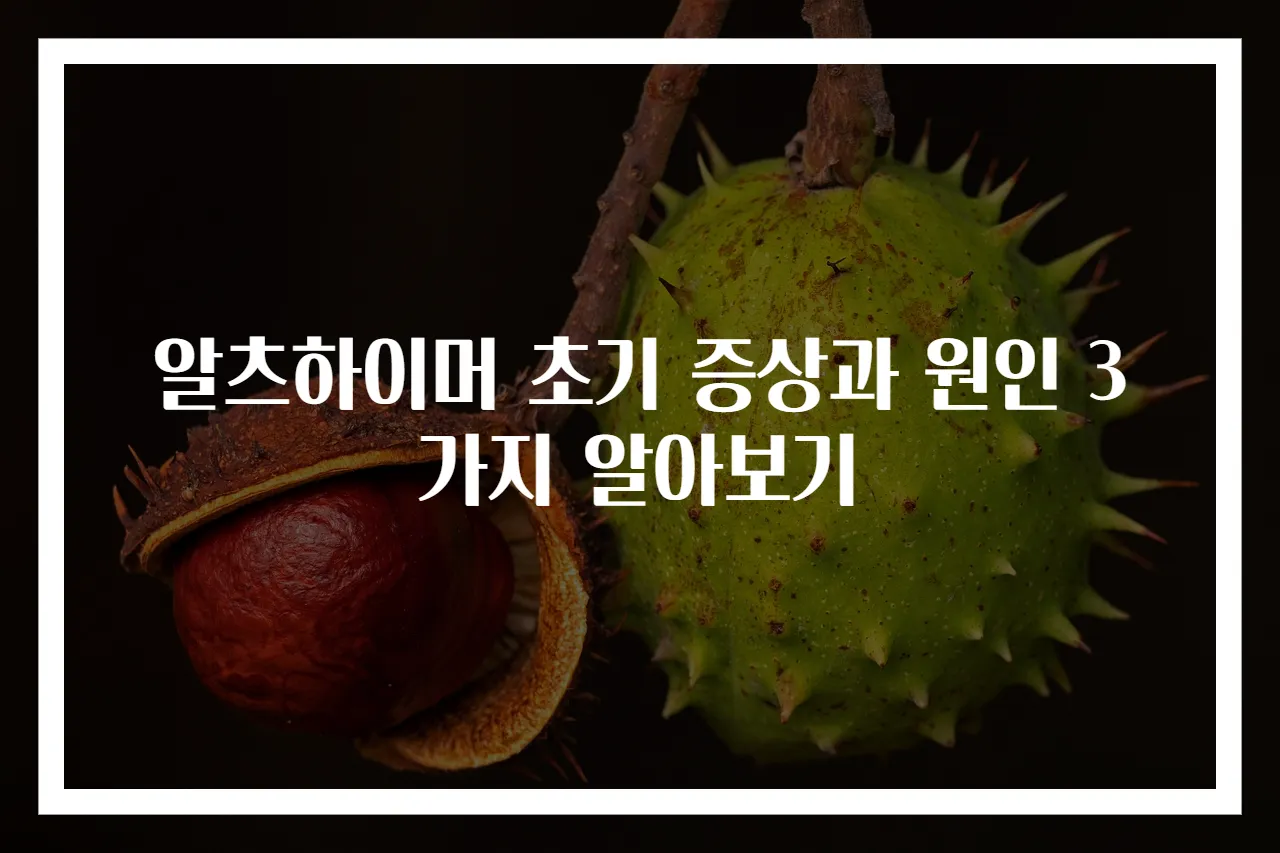 알츠하이머 초기 증상과 원인 3가지 알아보기