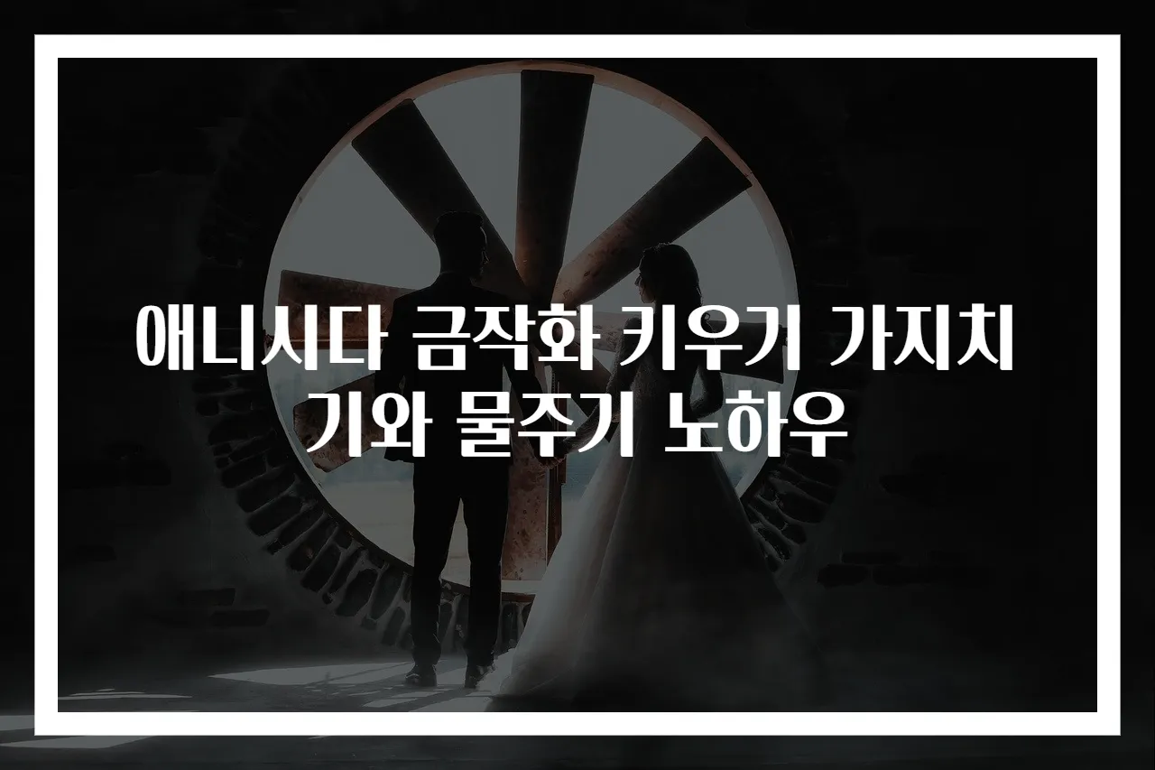 애니시다 금작화 키우기 가지치기와 물주기 노하우