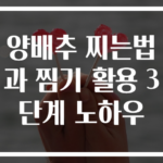 양배추 찌는법과 찜기 활용 3단계 노하우