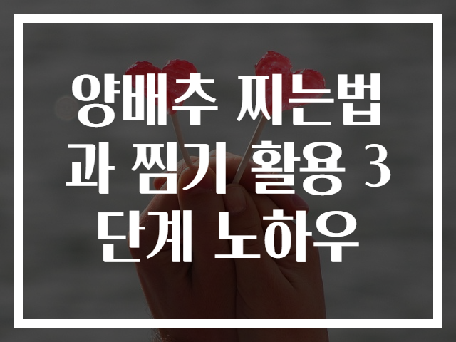 양배추 찌는법과 찜기 활용 3단계 노하우