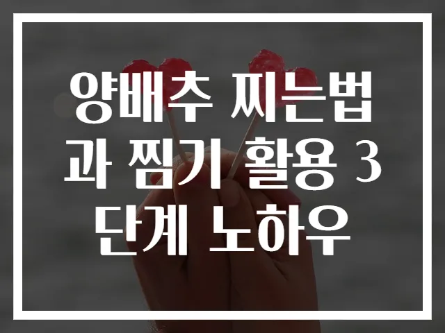 양배추 찌는법과 찜기 활용 3단계 노하우