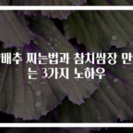 양배추 찌는법과 참치쌈장 만드는 3가지 노하우
