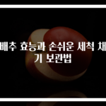 양배추 효능과 손쉬운 세척 채썰기 보관법