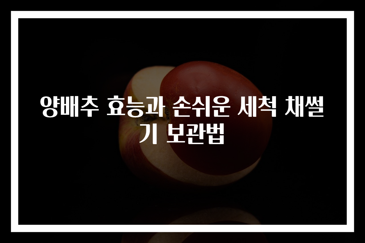 양배추 효능과 손쉬운 세척 채썰기 보관법