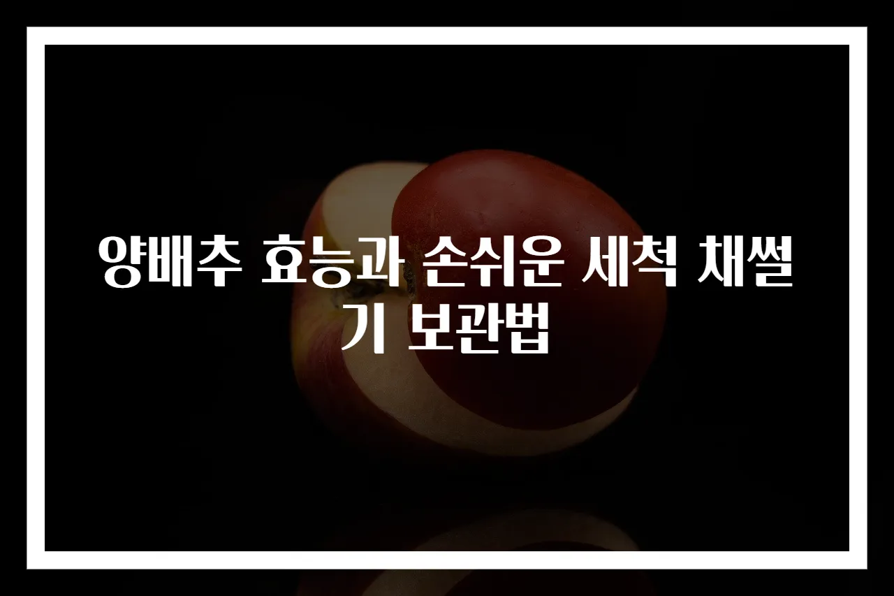 양배추 효능과 손쉬운 세척 채썰기 보관법