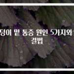 엉덩이 밑 통증 원인 5가지와 해결법