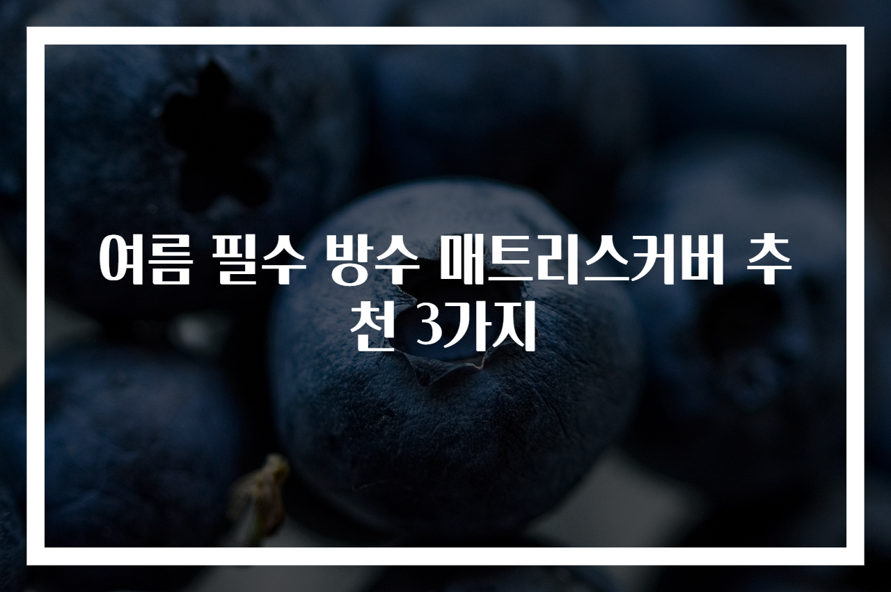여름 필수 방수 매트리스커버 추천 3가지