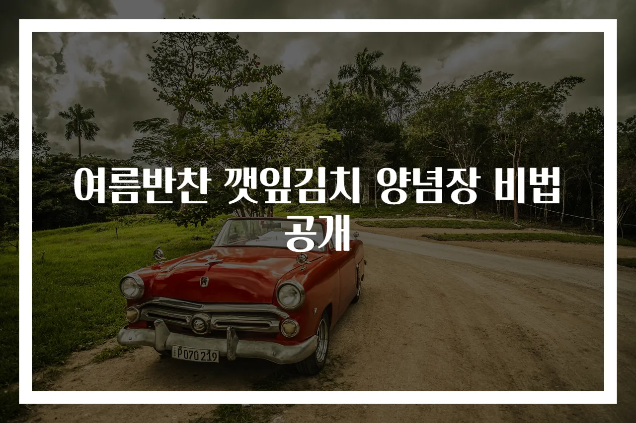 여름반찬 깻잎김치 양념장 비법 공개
