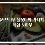 올리브나무 물꽂이와 가지치기 핵심 노하우