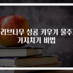 올리브나무 성공 키우기 물주기 가지치기 비법