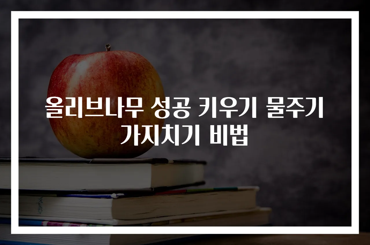 올리브나무 성공 키우기 물주기 가지치기 비법
