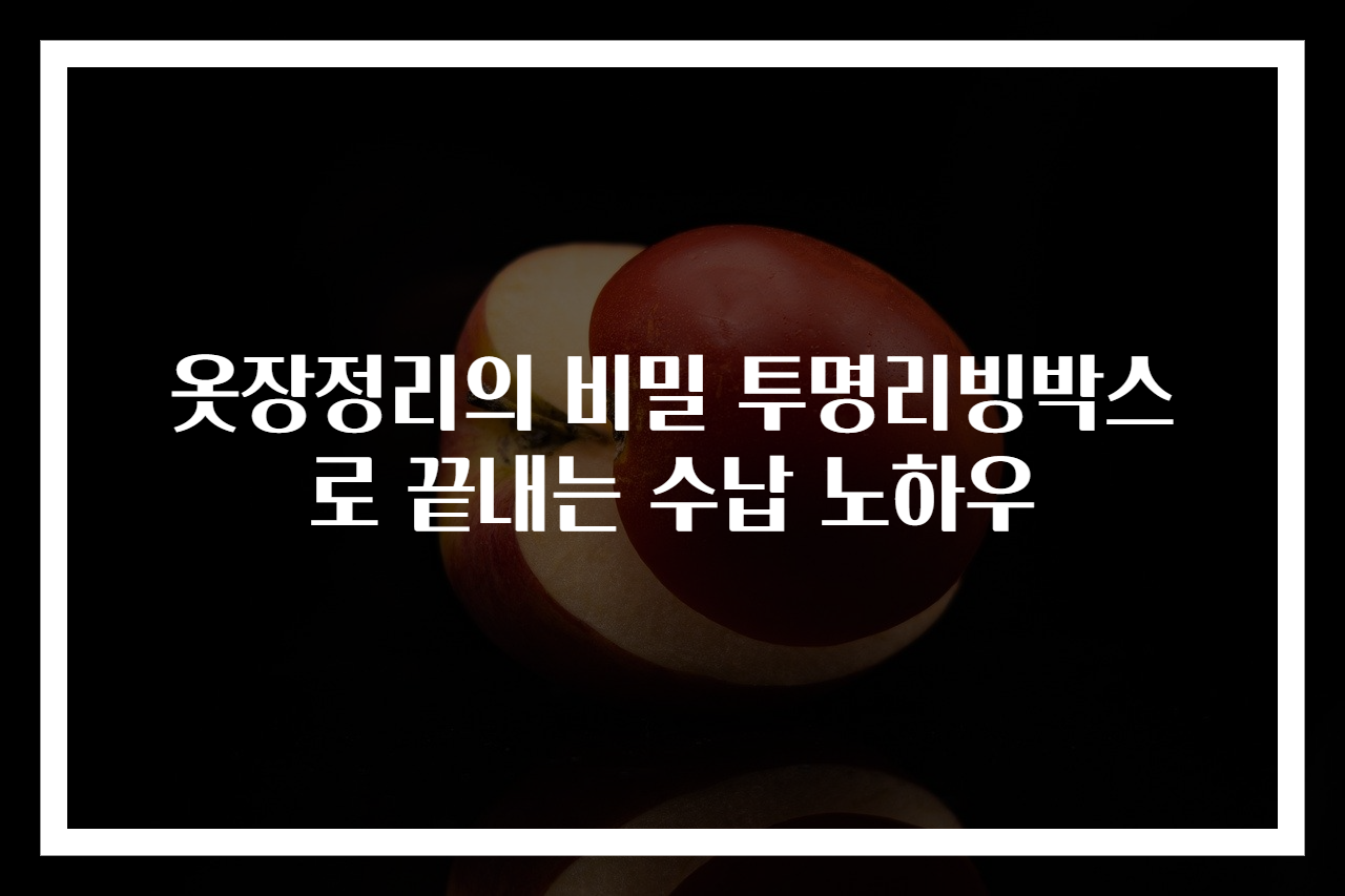 옷장정리의 비밀 투명리빙박스로 끝내는 수납 노하우