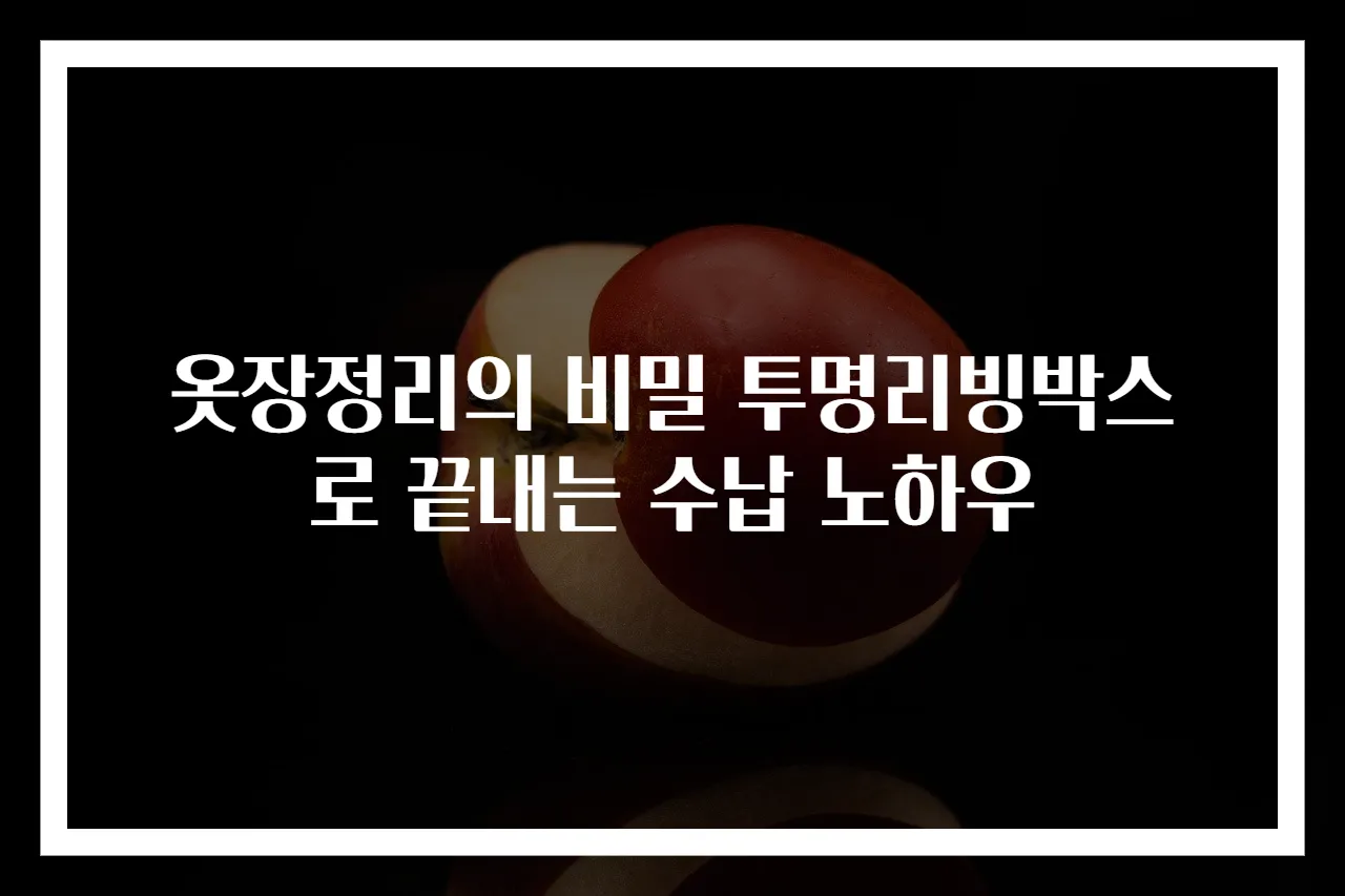 옷장정리의 비밀 투명리빙박스로 끝내는 수납 노하우