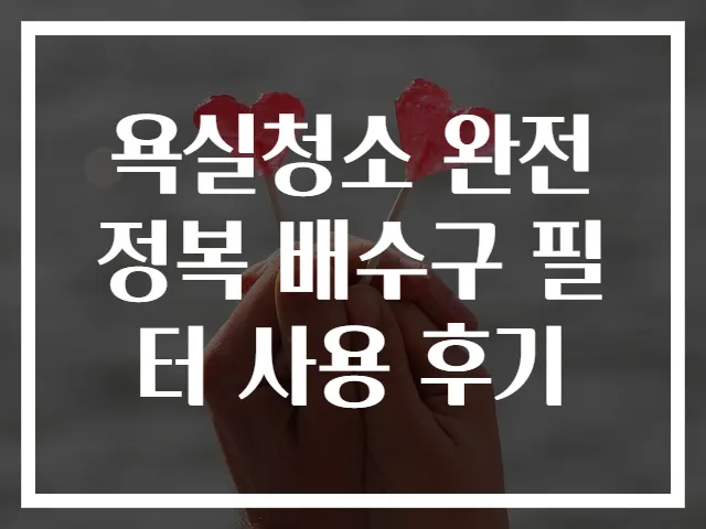 욕실청소 완전정복 배수구 필터 사용 후기