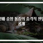 윗배 중앙 통증의 충격적 원인 공개