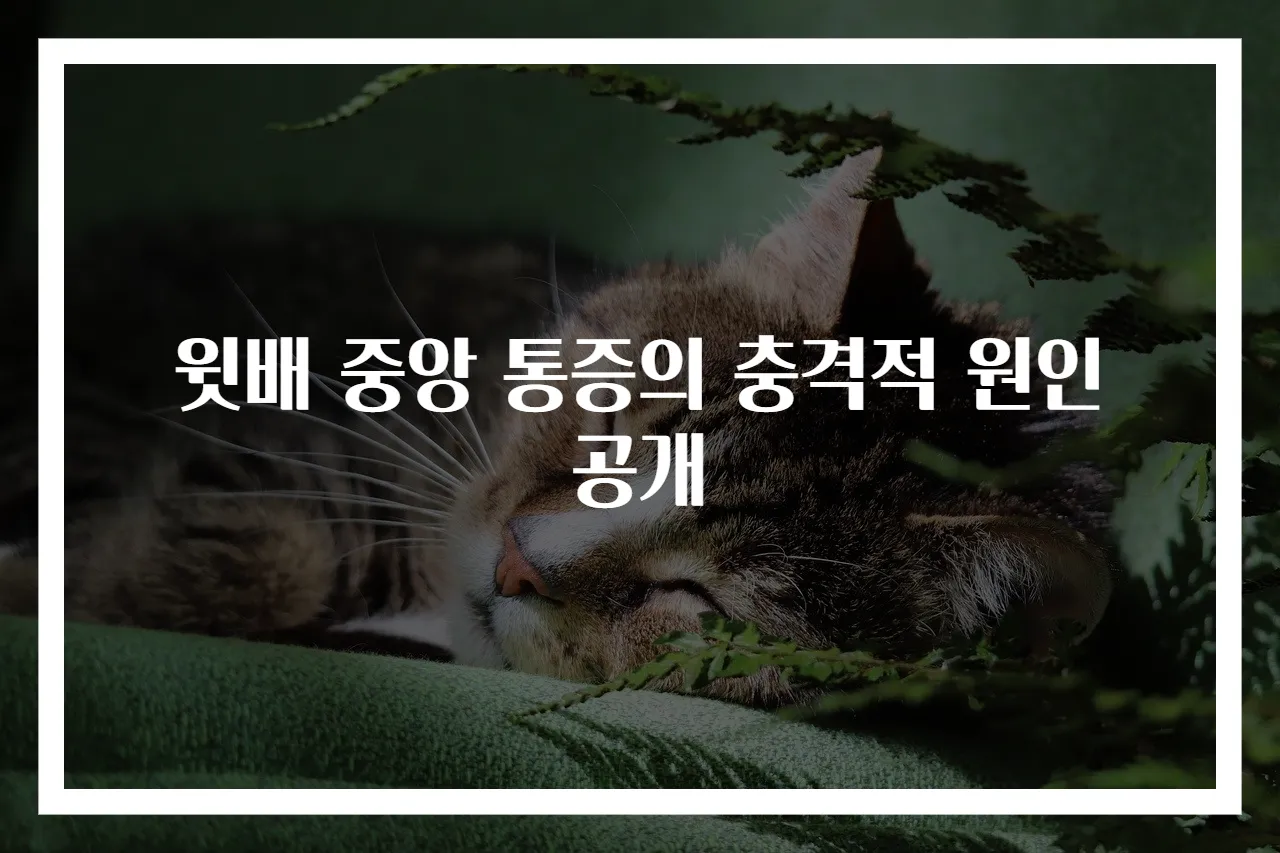 윗배 중앙 통증의 충격적 원인 공개