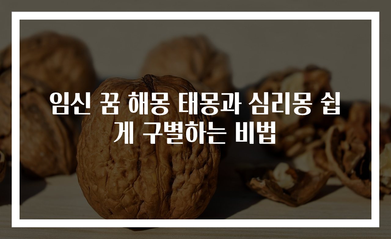 임신 꿈 해몽 태몽과 심리몽 쉽게 구별하는 비법