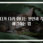 자다가 다리 쥐나는 원인과 즉시 해결하는 법