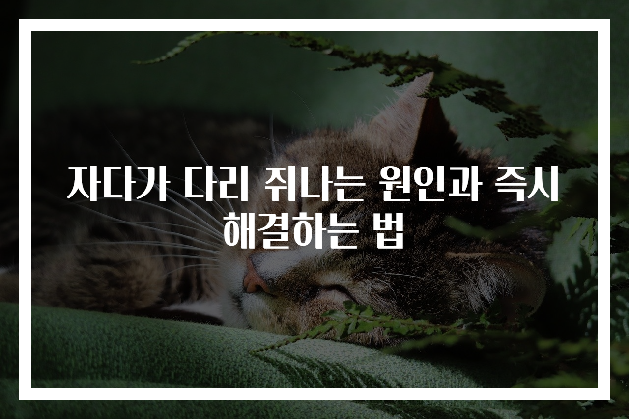 자다가 다리 쥐나는 원인과 즉시 해결하는 법