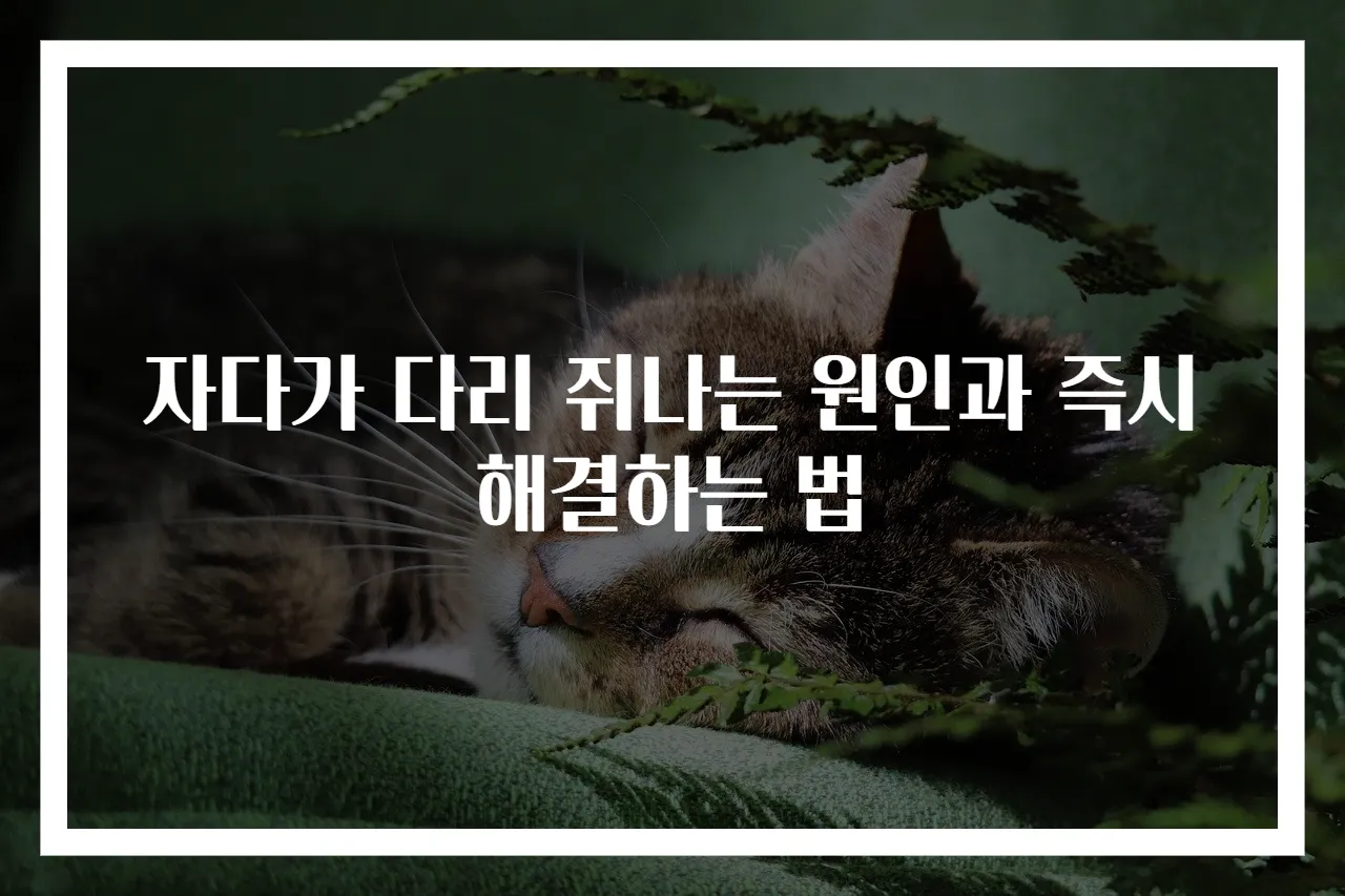 자다가 다리 쥐나는 원인과 즉시 해결하는 법