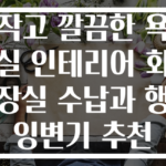 작고 깔끔한 욕실 인테리어 화장실 수납과 행잉변기 추천